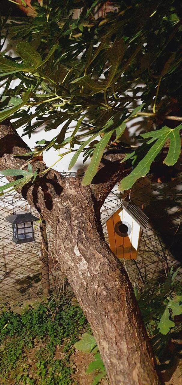 ザグレブTobislavac Zgアパートメント エクステリア 写真